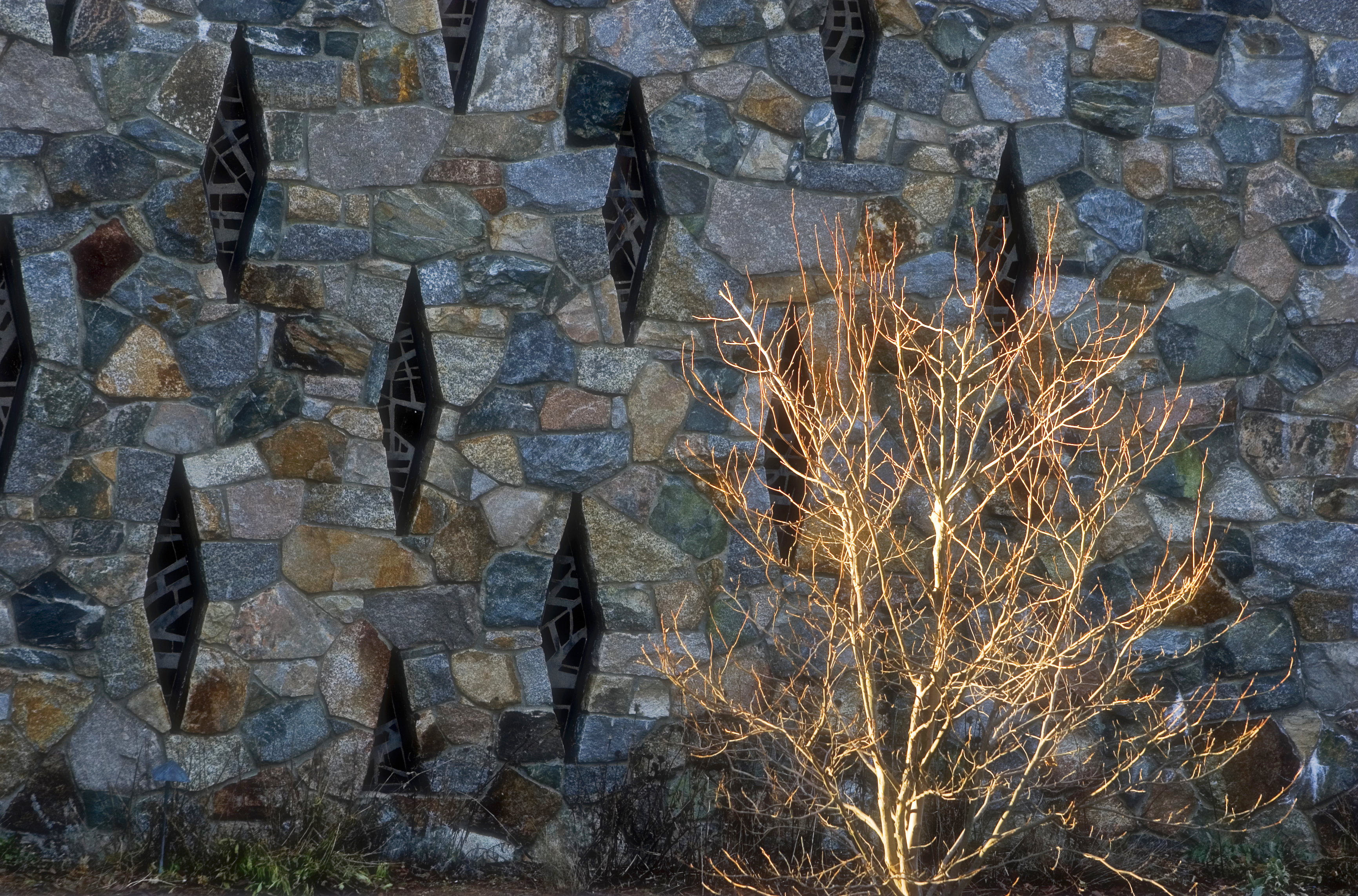 R1307_060122_BurningBush_xu